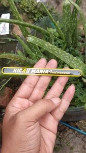 Emblem Sangkar Kicau Mania