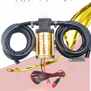 Electric Pump Oil Extractor 12 V24v220v Car Fuel Tank Oil Pump Gasoline Diesel Self-Priming Pump Tanker