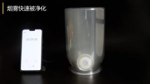 Air Purifier Portable Personal Necklace USB Rechargeable Lanyard Sterilization Protection Pads Holder 便携项链随身挂脖空气净化器