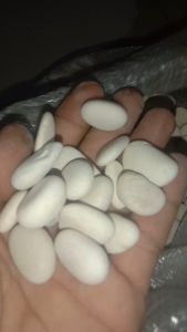 Batu koral putih kupang 1 karung isi 10 kg dekorasi taman