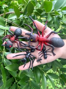 Bộ Đồ Chơi Hình Con Kiến ​​bền Bằng Cao Su Cho Trẻ Em Mẫu Giáo Đồ Chơi Động Vật Mô Phỏng Mini Đen Và Đỏ Đồ Chơi Học Tập Cho Trẻ Em