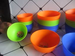 Mangkuk Plastik Bulat Warna Pine per Lusin 12 pcs