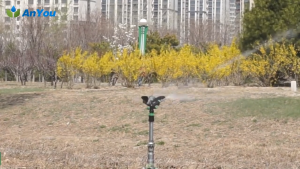 CAUGW สปริงเกอร์ Dripple 1นิ้ว F1203 สีดำจุกเขียว 4จุก พ่นไกล แรงดันดี กระจายน้ำสม่ำเสมอ เหมาะรดน้ำสวนผัก สวนผลไม้ สนามหญ้า