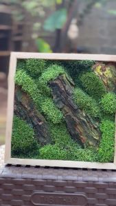 Moss Wall Artifical / Tanaman Hias Dinding / Pajangan Dinding / Lumut Sintetis / Moss Sintetis