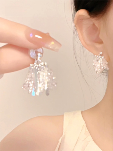 Silver Sparkling Tassel Clip-On Earrings for Women Ear-Cuff Korean Style Student Fashion Luxury Sensation Versatile Accessory