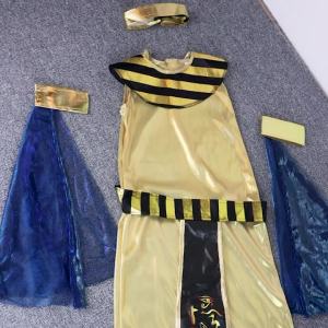 Trang Phục Cosplay Pharaoh Ai Cập Cổ Đại Dành Cho Người Lớn Áo Choàng Thêu Vàng Kèm Quần Dành Cho Các Bữa Tiệc Theo Chủ Đề Kim Tự Tháp Và Hóa Trang Halloween