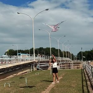 ว่าว ว่าวนกอินทรีย์ ว่าวไล่นก ว่าวไล่ศัตรูพืช ขนาด 110ซม. x 48ซม. พร้อมส่ง