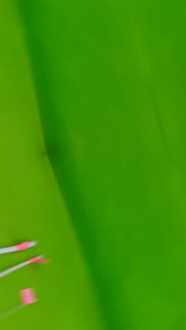 Kulit Kabel Anti Panas Tahan Api Selongsong Selang Fiberglass Sleeve