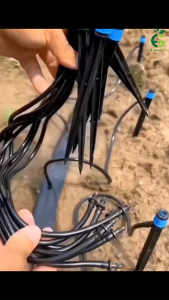 Combo 5 Que cắm phun mưa xòe 360 độ bù áp 55l/h tự động cân bằng áp phù hợp tưới gốc cây