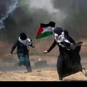 Kaos Edisi dukungan buat Palestina