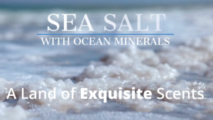 สบู่สมุนไพรออสเตรเลีย เกลือทะเลผสมแร่ธาตุจากมหาสมุทร 140 กรัม - Australian Botanical Soap Sea Salt with Ocean Minerals 140g