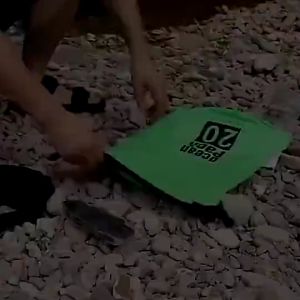 6สี เป้กันน้ำ กระเป๋าสะพายหลัง กระเป๋ากันน้ำ ถุงกันน้ำ เป้สำหรับท่องเที่ยว (พร้อมส่งค่ะ) G3017