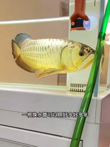 สายยางตู้ปลา สีดำ/สีเขียว สายยาง 12/16มม 16/22มม สำหรับต่อกับกรองนอก PVC สายยาง Inflow-Outflow สายยางชิลเลอร์ ราคาต่อ 1 เมตร  สำหรับตู้ปลา ตู้ไม้น้ำ กรองนอก ชิลเลอร์ ระบบเปลี่ยนน้ำ