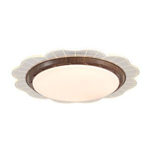 DGY | Retro Minimalist Invisible Creative Kids Room Ceiling Light