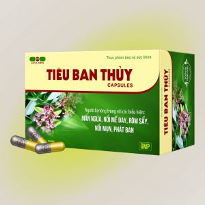 VIÊN UỐNG TIÊU BAN THỦY CAPSULES (Hộp 10 vỉ x 10 viên)