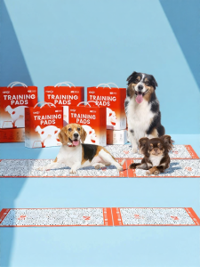 howgo | Odor Eliminating Leak Proof Pet Potty Pad