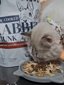 [Dog/Cat] Kynos Rabbit Meat Chunk – Gently Slow Cooked in Collagen Bone Broth | Premium Hypoallergenic | Single Ingredient | Supports Gut Health | 100% Pure Meat| Wet