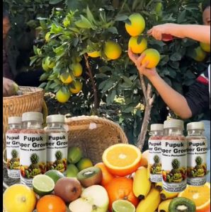 Pupuk Super Grow: Beli 1 Gratis 9