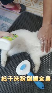 Dog pet dry cleaning powder 260g cat no-wash shampoo deodorizing clean puppy rabbit bath shower gel