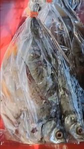 ส้มปลา ปลาส้มศรีสงคราม