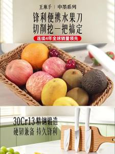 WANGMAZI | Stainless Steel Household Fruit Knife Peeling Knife with Sheath