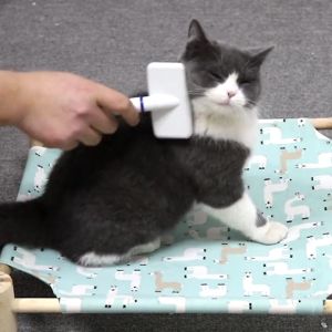 Lược Chải Lông Cho Chó Mèo Giá Rẻ