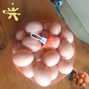 Mainan Anak Replika Telur Ayam Bebek Plastik Jala 1 Pack Original