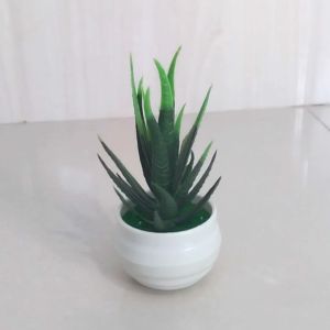 Dekorasi Rumah dengan Tanaman Hias Mini Plastik & Pot Bunga Lidah Buaya