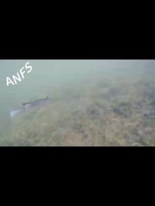 5pcs Silicone Fishing Lures Soft Artificial Bait with Hooks for Saltwater and Freshwater