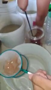 Serokan Saringan Artemia Kutu Air Kutuair Kutir Ikan