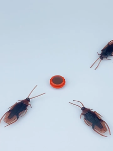 Cockroach Killer gel Roach Traps 20Pcs Cockroach killer Cockroach trap Roach Bait Japan imported