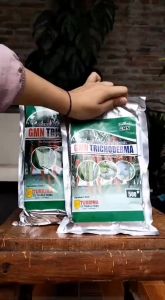 PUPUK tricoderma trikoderma untuk mengatasi busuk akar dan buah