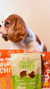 Petsup Meaty Fruity Jerky Dog Treats Real Chicken Apple Banana Jerky Chewy High Protein Training Reward Snack Healthy Dog Treat