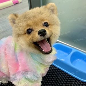 Nước nhỏ mũi chó mèo Seasal Drop nano bạc - Thông mũi giảm viêm hô hấp thú cưng | BossDog