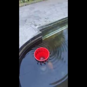 Skimmer Skimer 3 Inchi Floating kolam ikan koi minimalis modern keren