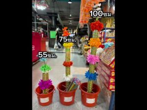 ต้นผ้าป่า ต้นกฐิน ต้นผ้าป่าพร้อมถัง ขนาด 55 /75/100 ซม. - Lazada