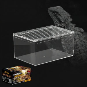 Tailwise | Ecological Reptile Terrarium For Gecko Lizard Tree Frog Snake Turtle
