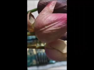 SENDOK MAKAN SET SULTAN 1 BOX ISI 6 PCS MOTIF MARBLE SENDOK TRAVELING