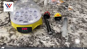 7-Egg Incubator 360° View Poultry Incubator with Manual Temperature Control for Hatching Chicken Duck Goose Parrot
