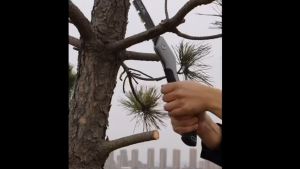 250mm Outdoor Portable Manual Folding Saw Long Blade Garden Saw Dry Wood Pruning Saw SK5 Steel U-Shaped Small Save Labour Fast Cutting Multifunctional Wood Working Saw with Hard Teeth tools