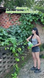 No recurrence for 100 years Super Concentrated racun rumput sambau racun rumput paling kuat cepat mati racun pokok kayu besar racun rumput mati akar racun pokok besar racun rumput tabur weed killer tree killer racun pokok paling kuat  除草剂