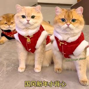 Red New Year Celebration Clothes for Pets Cats And Dogs Golden Three Cabinet Traditional Chinese Style Cat Clothes Casual Vest