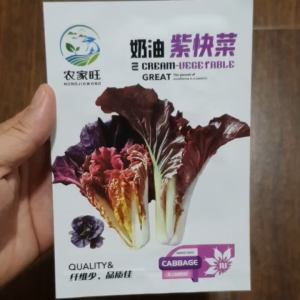 Hạt giống cải ngọt tím hàng nhập khẩu nội địa Trung