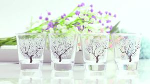 Temperature Change Color Vodka Shot Glasses Transparent Heat Resistant Small Glass Vodka Cup Bar Barware Set Wine Glass