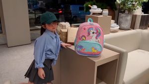 Tas Ransel Sekolah PAUD Anak Laki Laki Perempuan Karakter Lucu ICB045