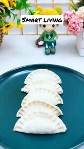 CETAKAN PANGSIT PASTEL DUMPLING GYOZA MOLD MOLDING