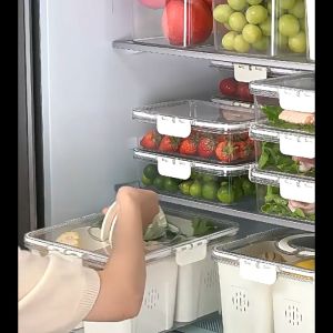 Kotak Penyimpanan MakanaTertutup Kotak Penyimpanan Makanan Buah Sayur