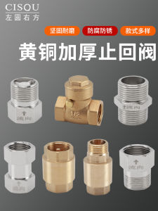 One-Way Check Valve Toilet Water Heater Water Pipe Anti-Waterproof Return Water Meter Check Valve 4 Points 6 Points 1 Inch Check Valve