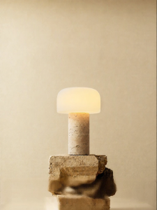 JIANDUN | Mushroom Full Spectrum Stone Desk Lamp