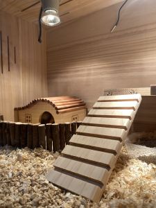 Hamster Hideout House Landscape Decorations Large House Rabbit Chicken Coop Small Wooden House Pet Supplies Accessory